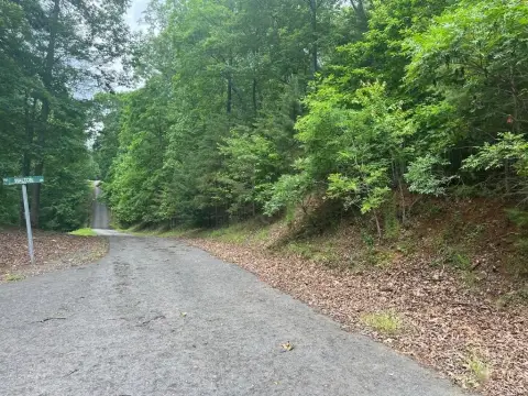 Wooded Lot in Ivy Bend