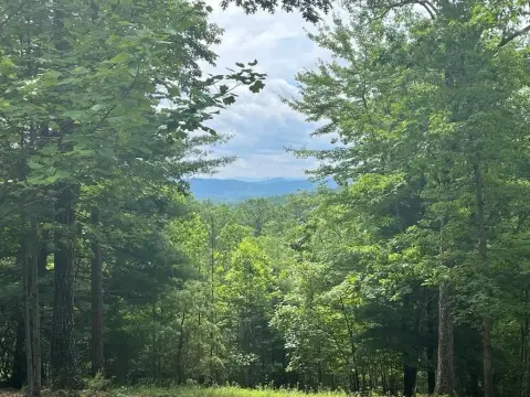 Mountain Lot in Ivy Bend
