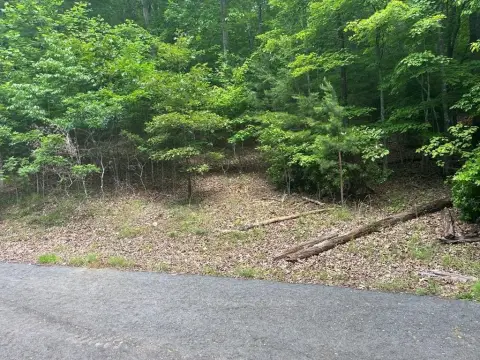 Murphy, NC Wooded Lot