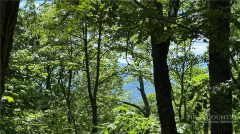 Mountain View Homesite in Gated Resort