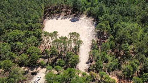 Unrestricted Land in Monetta, SC