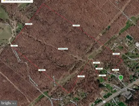 Raw Wooded Hunting Property