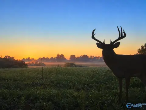 Hunting Land with Trails