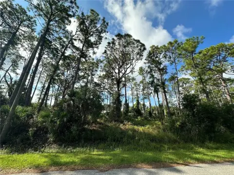Residential Land in North Port