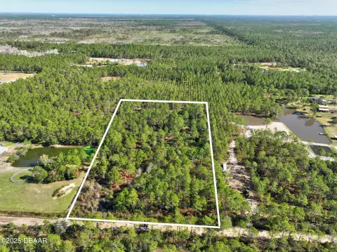 Ormond Beach Wooded Land Parcel
