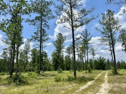 Robertsdale Commercial Development Opportunity