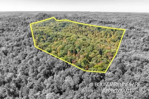 Wooded Recreational Land