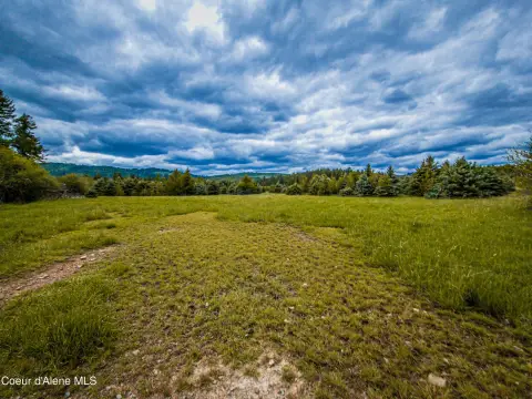 20 Acre Parcel in St. Maries