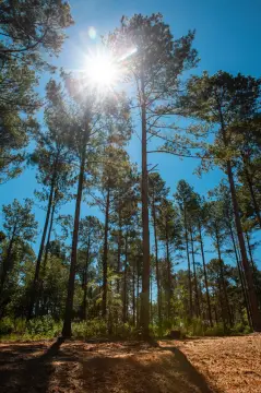 Acreage Lot for Custom Home