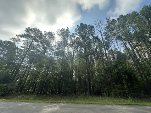Parksville Acreage Near Lake Home