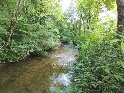 Unrestricted Land with North Shoal Creek