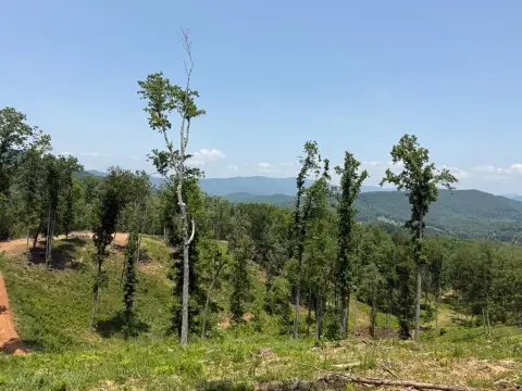 Land Near Downtown Hayesville