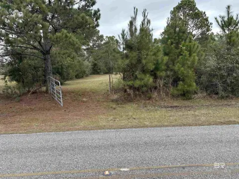 Residential Land in Lillian, Alabama