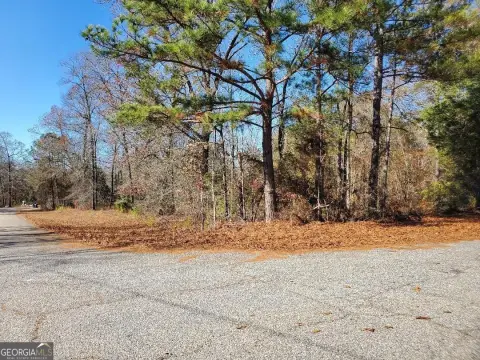 Residential Land in Fort Valley
