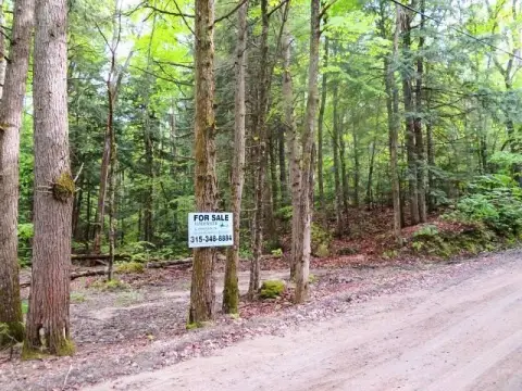 Bleecker Vacant Land For Sale