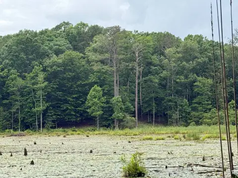 Recreational Hunting Land Tract