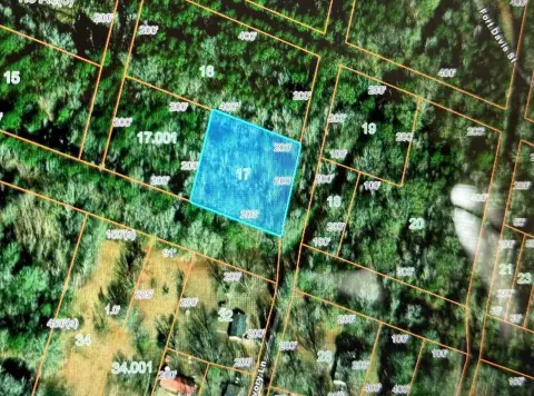 Union Springs Vacant Land