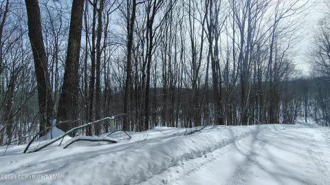 Wooded Lot in Salem Estates