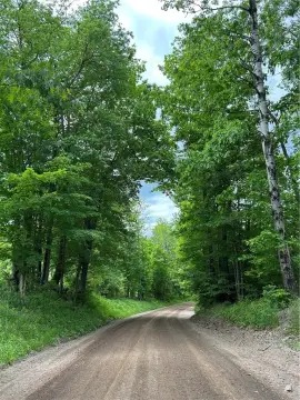 Wooded Hunting Land