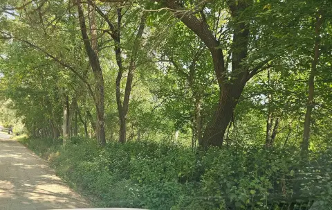 Wooded Land in Sioux City