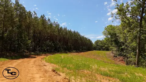 Pocahontas Vacant Land For Sale