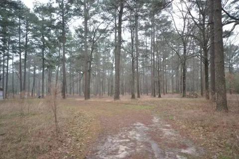 Vacant Land in Magnolia, AR