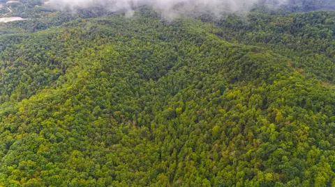 Wooded Recreation Land