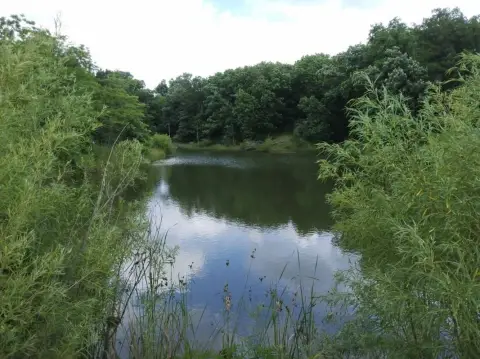 Recreational Land in Schuyler County