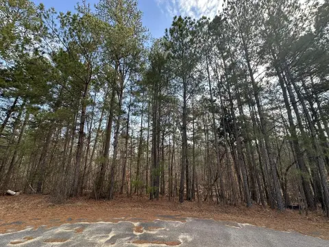 Secluded Residential Lot in McCormick
