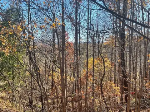 Residential Lot in Gated Community