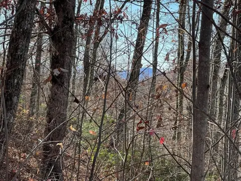 Mountain Harbour Golf Community Land