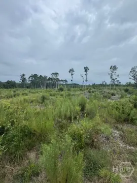 Cleared Land Parcel in Register