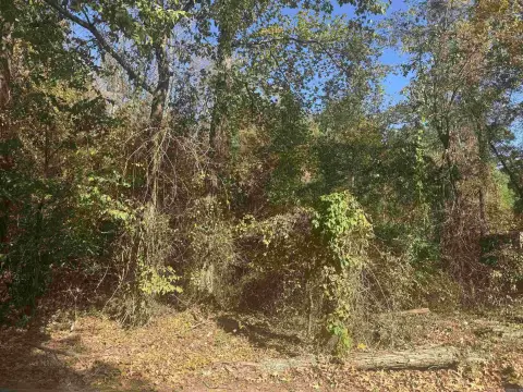 Residential Lot in Pine Bluff