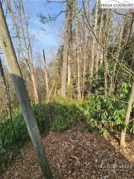 Residential Land Lot in Subdivision