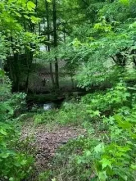 Residential Land with Flowing Creek