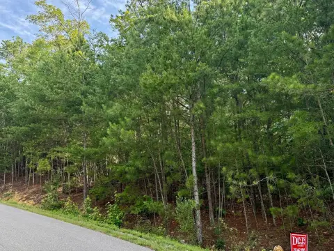 Wooded Building Lot in Glencoe