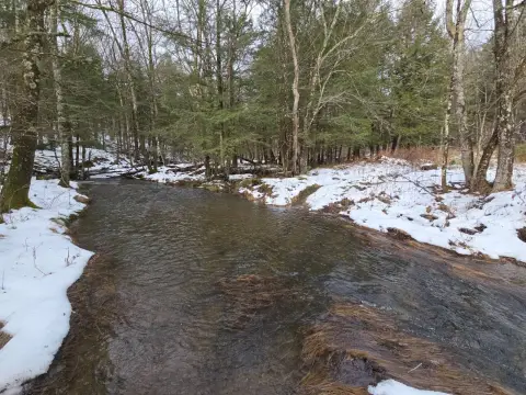 200+ Acre Wooded Land Parcel