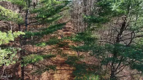 Jefferson, NY Vacant Land