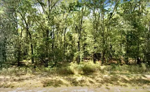Wooded Recreational Land Tract