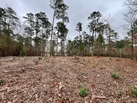 Toledo Bend Waterfront Unrestricted Lot