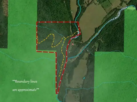65 Acres Vacant Land
