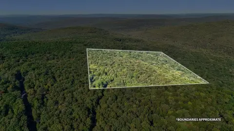 Recreational Hunting Land