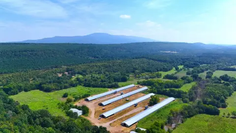 Arkansas Farm and Homestead Opportunity