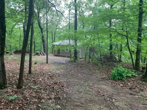 West Fork Vacant Land with Cabin