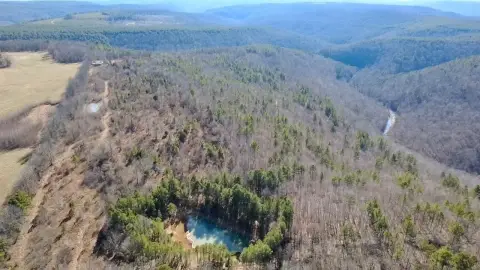 Recreational Hunting Land Tract