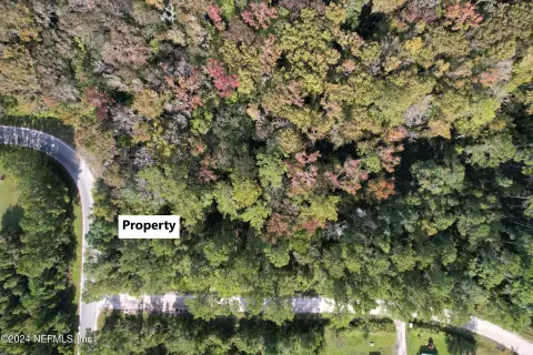 Satsuma, FL Land Opportunity