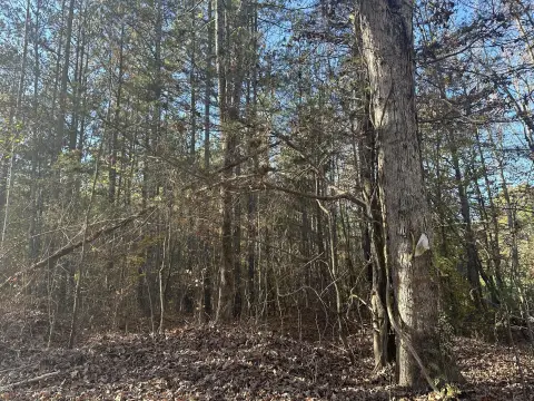 Decatur, TN Land Opportunity