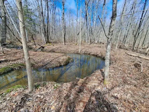 Secluded Adirondack Recreational Land