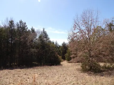 80 Acres Hunting Land in Atoka