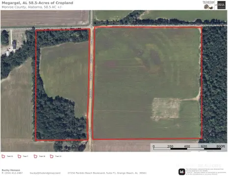 Cultivated Agricultural Land